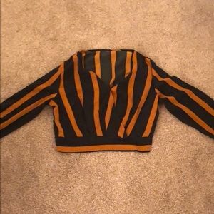 Striped Long Sleeve Crop Top
